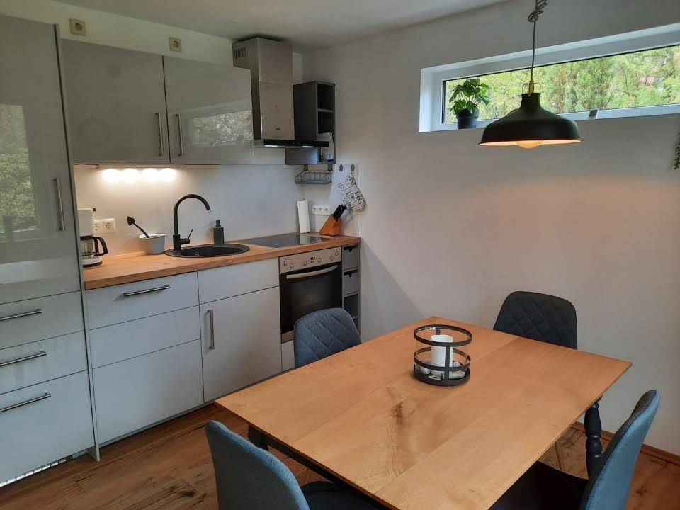 Küchenzeile mit Herd und Spühlmaschine