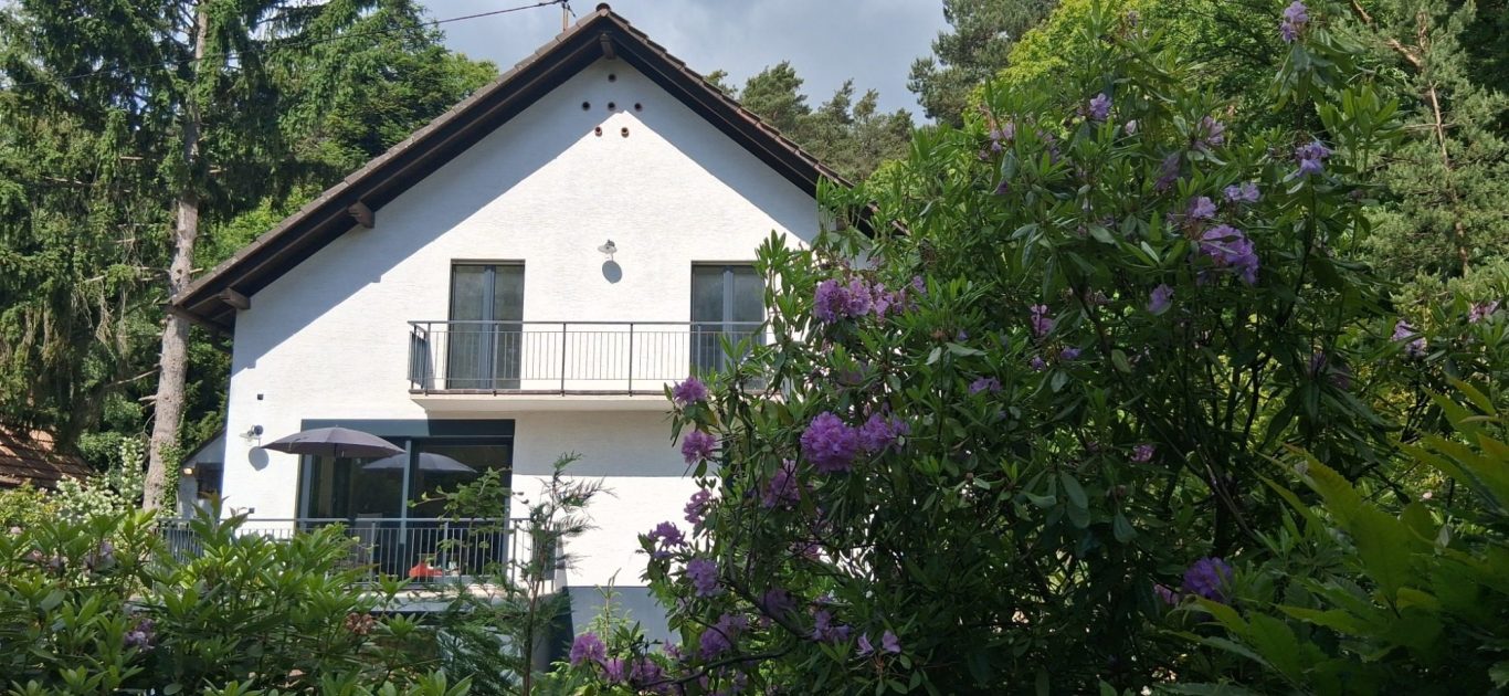 Urlaub auf der Sonnenseite von Dörrenbach Ein modernes Haus umgeben von grünen Pflanzen und blühenden Sträuchern.
Garage zubuchbar